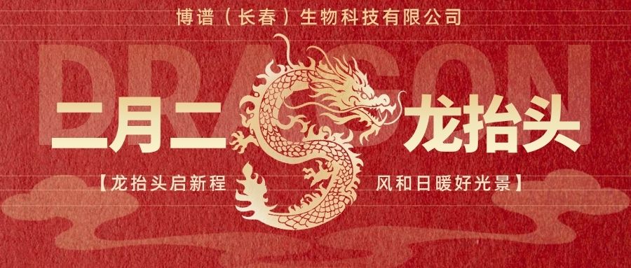 红色简约插画风二月二龙抬头公众号封面图.jpg